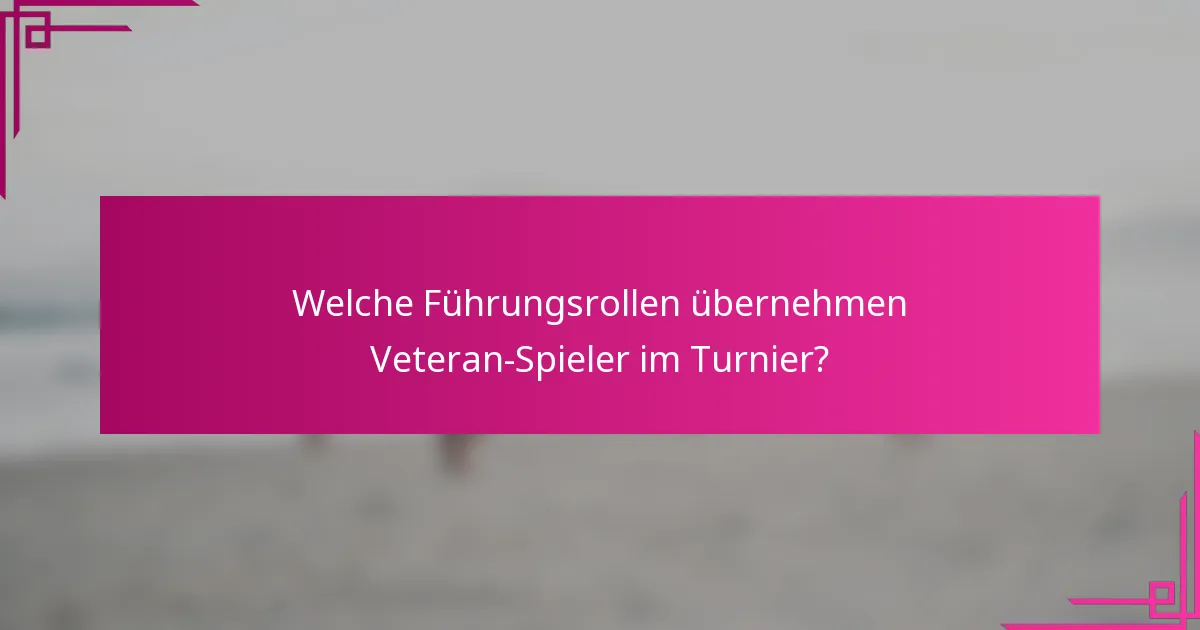 Welche Führungsrollen übernehmen Veteran-Spieler im Turnier?